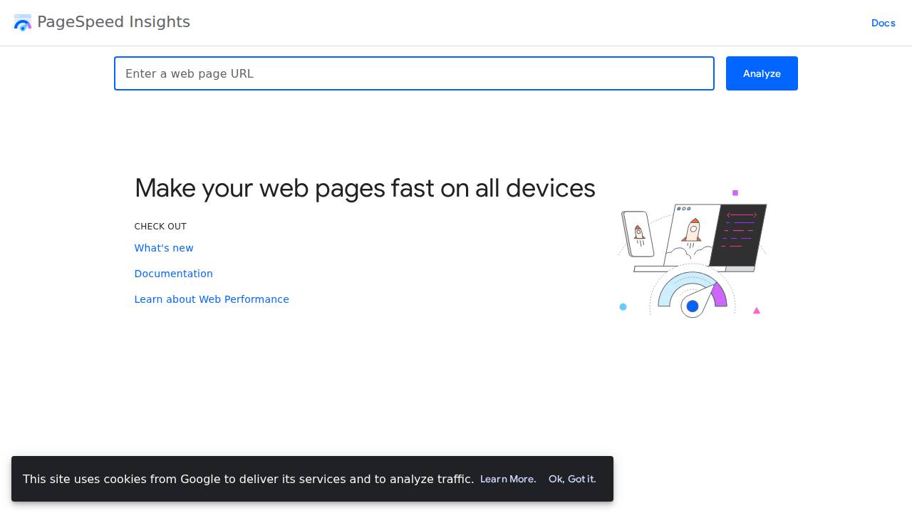 PageSpeed Insights Screenshot